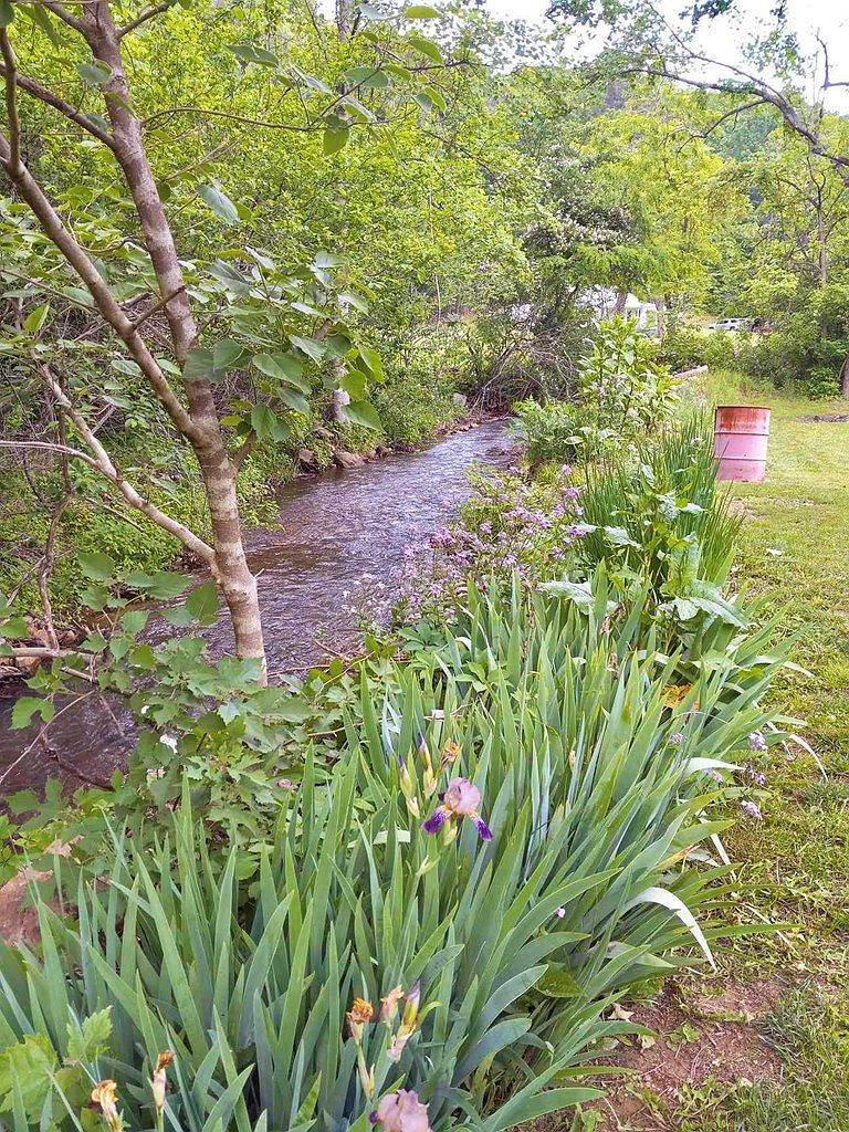 1164 Mule Hell Rd Wytheville, VA 24382 - Thumbnail 3