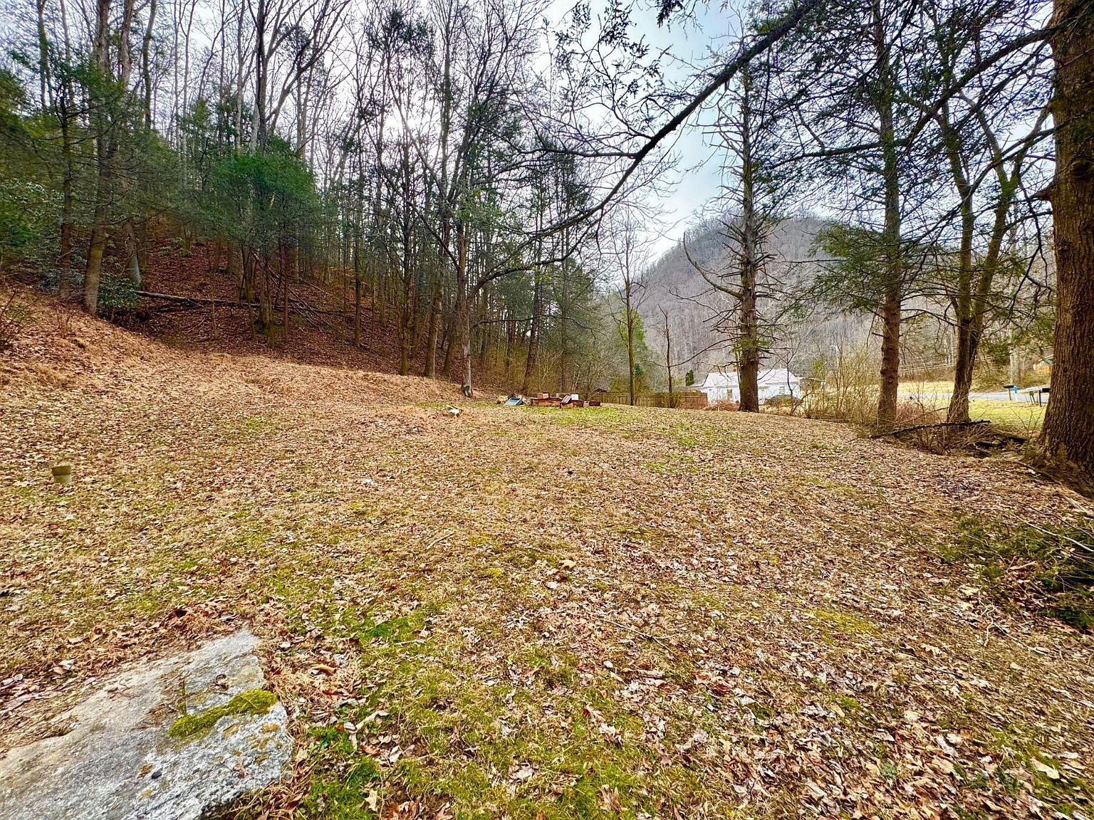 184 Still House Hollow Rd Saltville, VA 24370 - Thumbnail 3