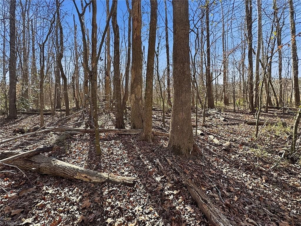 0 S Peace Haven Rd Winston Salem, NC 27104 - Thumbnail 3