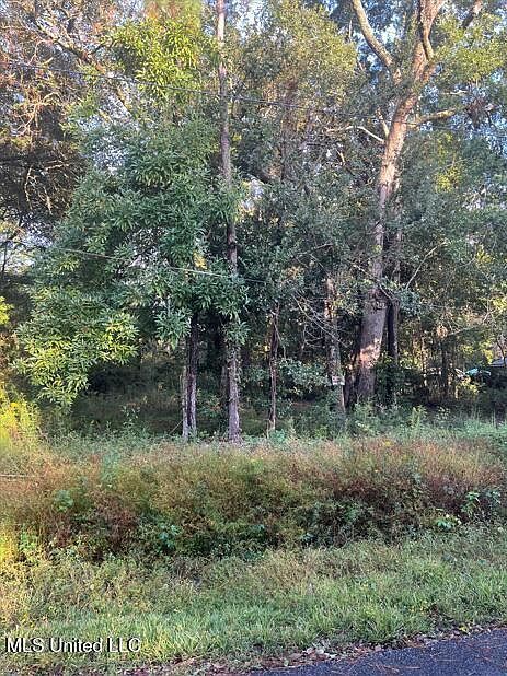 0 Dorothy St Ocean Springs, MS 39564 - Thumbnail 3