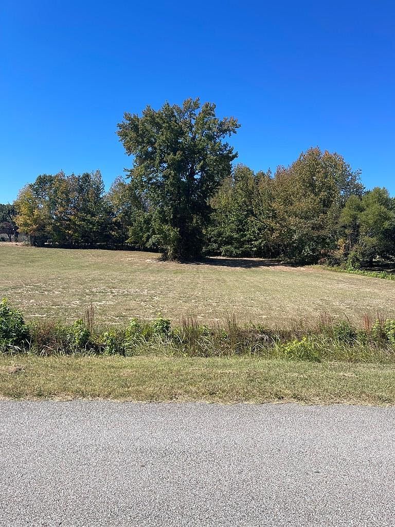 0 R B Wilson Dr LOT 1 Huntingdon, TN 38344 - Thumbnail 3