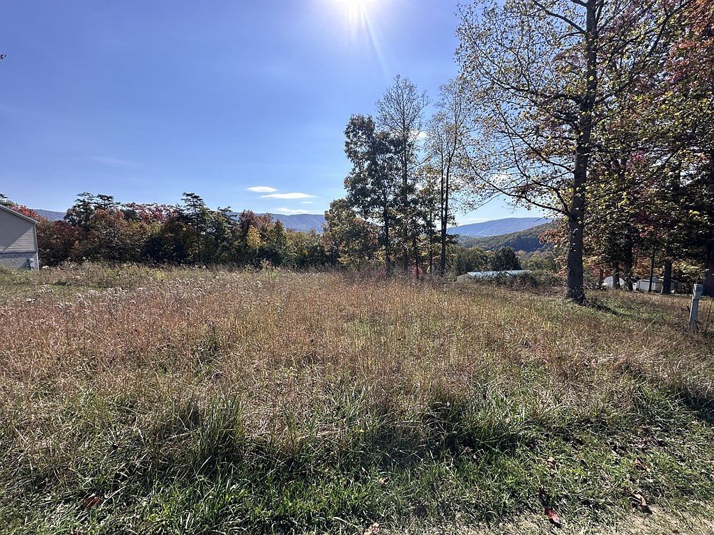 LOT 54 Bee Tree Dr Peterstown, WV 24963 - Thumbnail 3