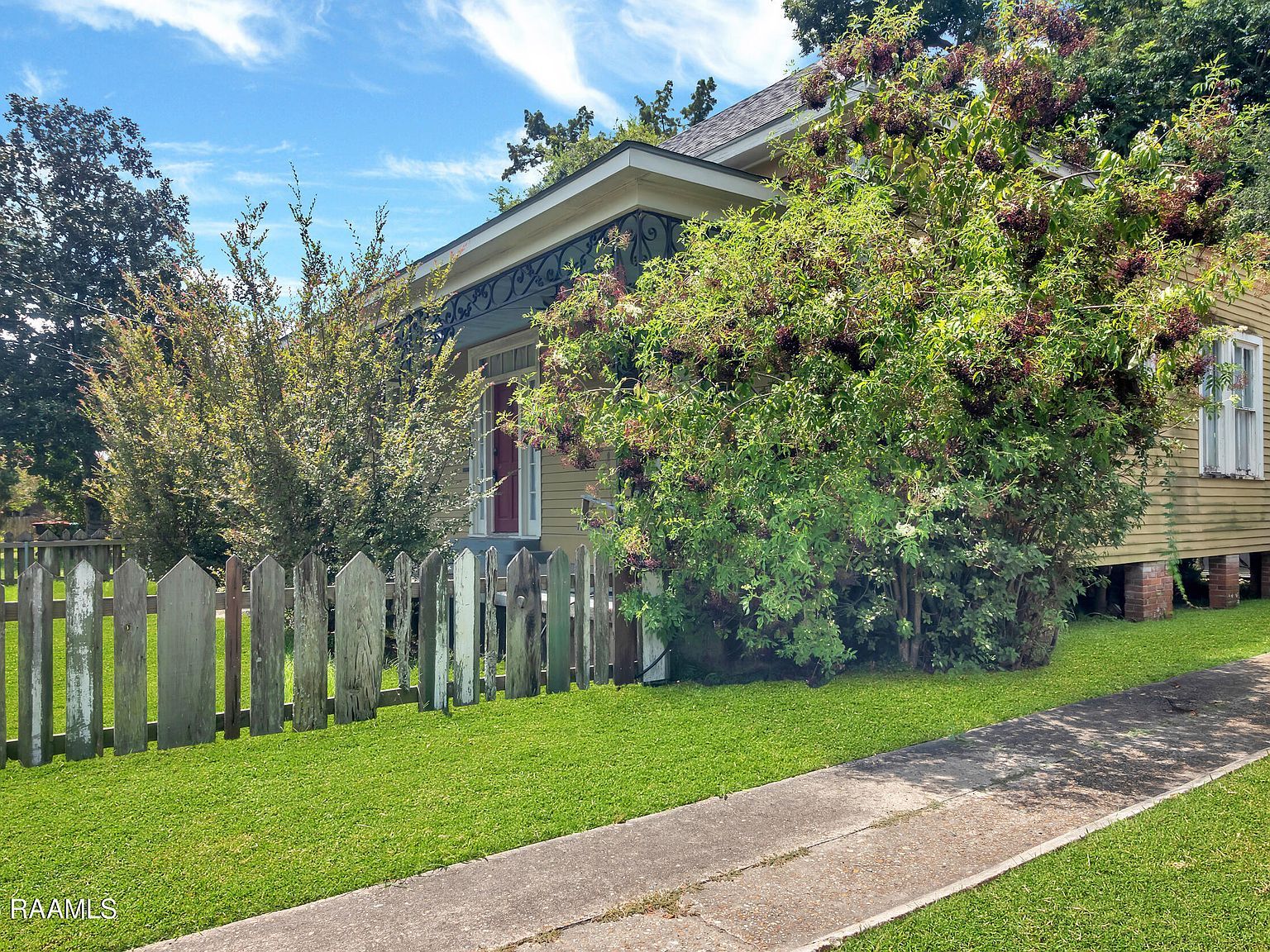 321 Elizabeth Ave Lafayette, LA 70501 - Thumbnail 3