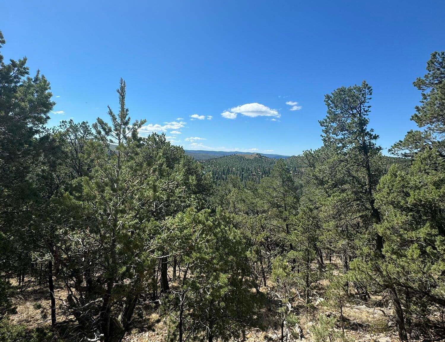 L10c Flute Player Alto, NM 88312 - Thumbnail 3