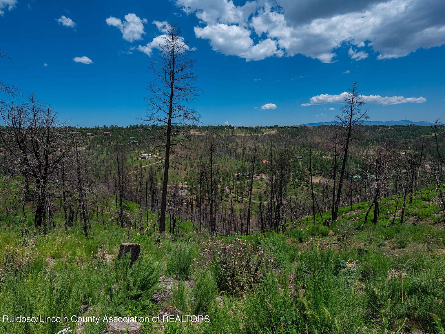 LOT 11 Gavilan Hills Rd Ruidoso, NM 88345 - Thumbnail 3