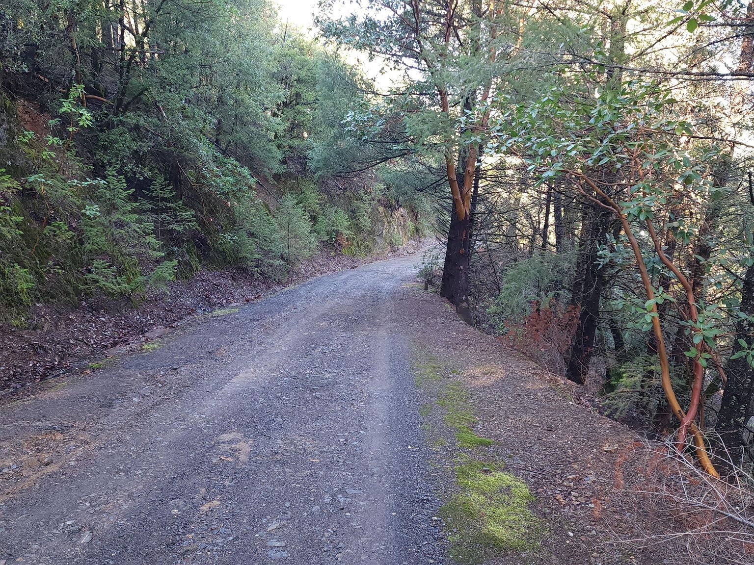 0 Kimlarry Ln Bella Vista, CA 96008 - Thumbnail 3