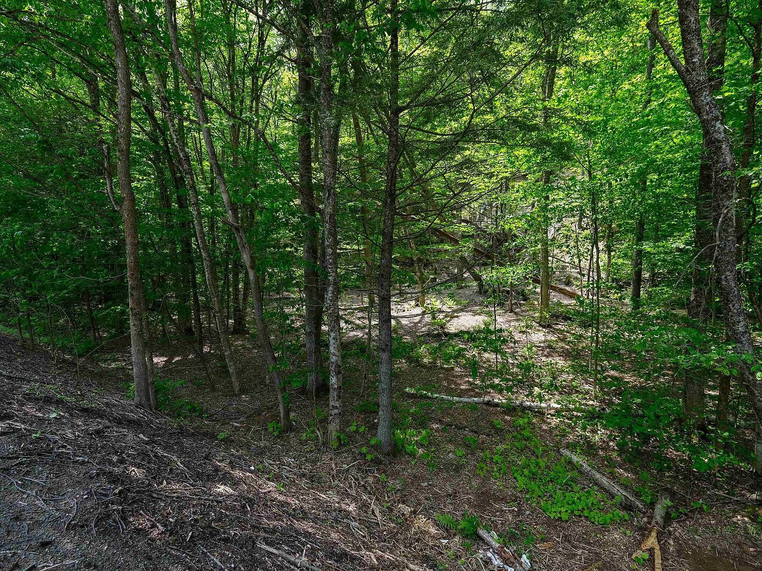 0 Route 100 N Plymouth, VT 05056 - Thumbnail 3