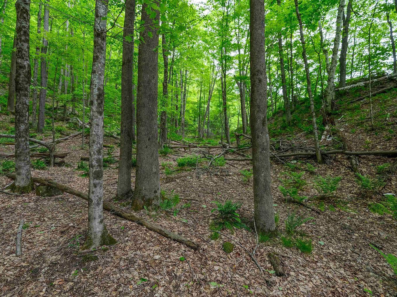 0 E Ash Rd Plymouth, VT 05056 - Thumbnail 3