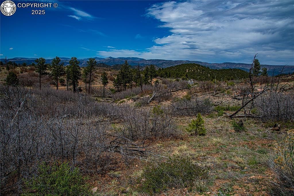 221 Cottonwood Dr Cotopaxi, CO 81223 - Thumbnail 3