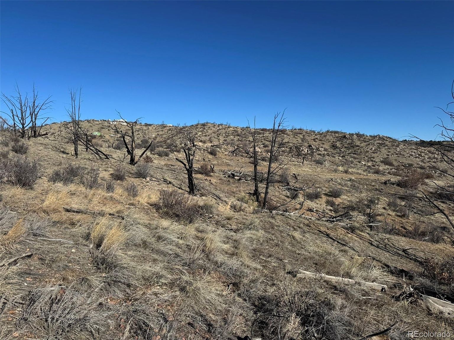 F Path And 37th Trl Cotopaxi, CO 81223 - Thumbnail 3