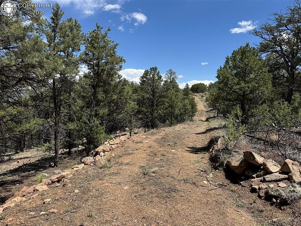 33rd Trl Cotopaxi, CO 81223 - Thumbnail 3