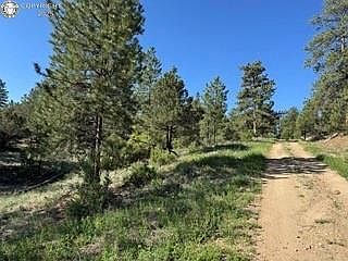 69 Coyote Run Cotopaxi, CO 81223 - Thumbnail 3