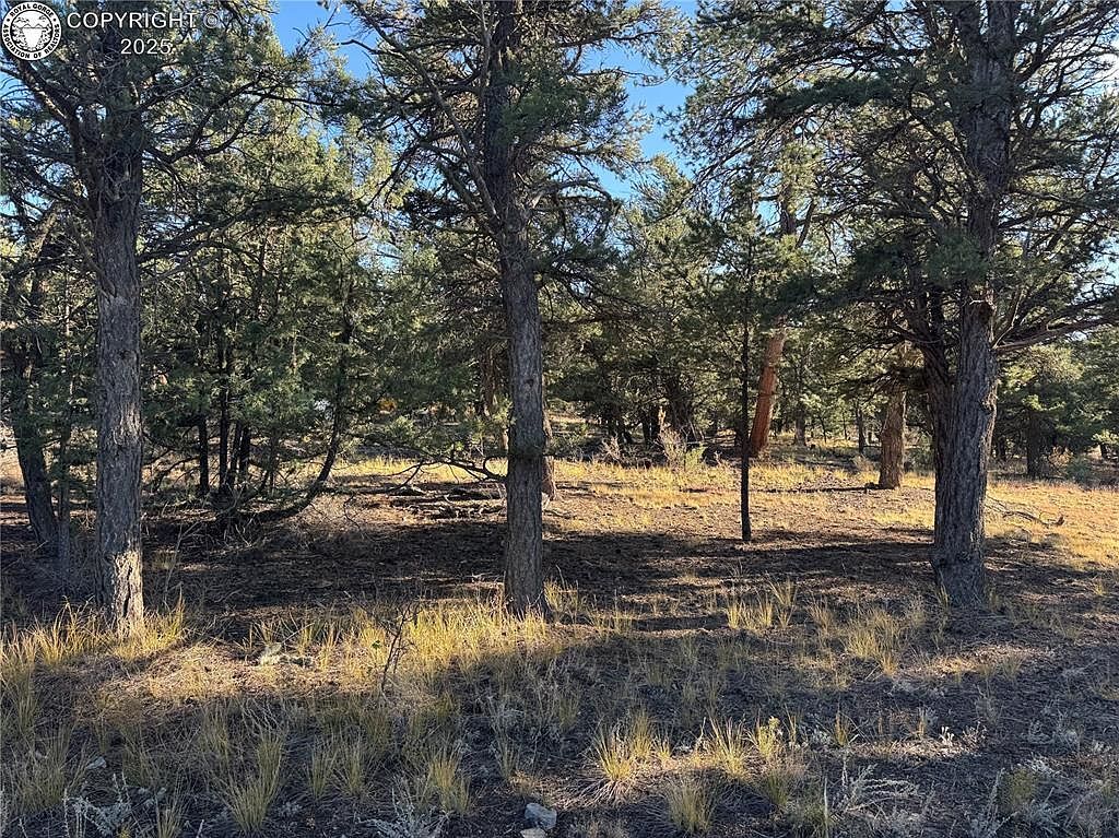 27 County Rd #A Cotopaxi, CO 81223 - Thumbnail 3