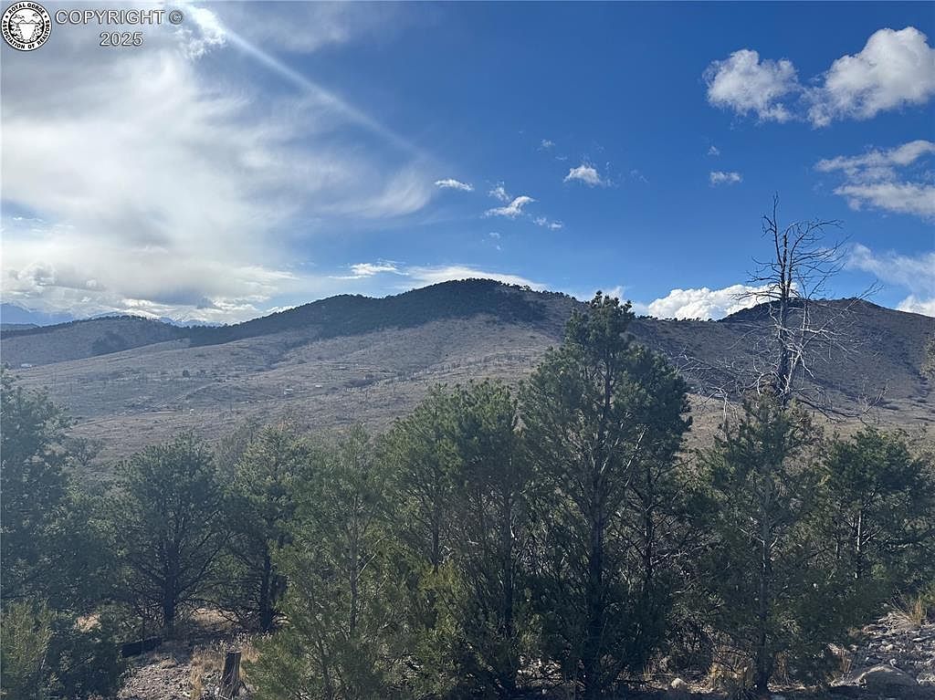 27th Trl Cotopaxi, CO 81223 - Thumbnail 3