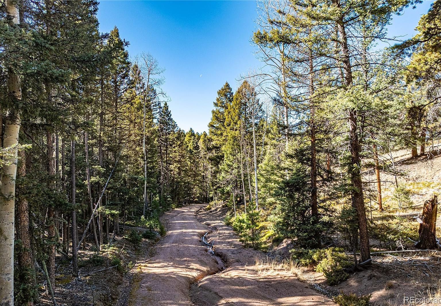 0 Arrowhead Rd Florissant, CO 80816 - Thumbnail 3