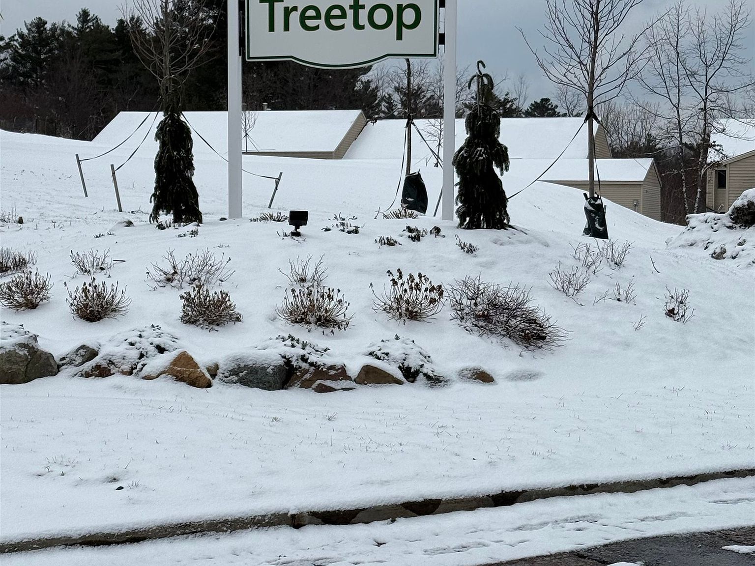 64 Bayberry Ln South Burlington, VT 05403 - Thumbnail 3