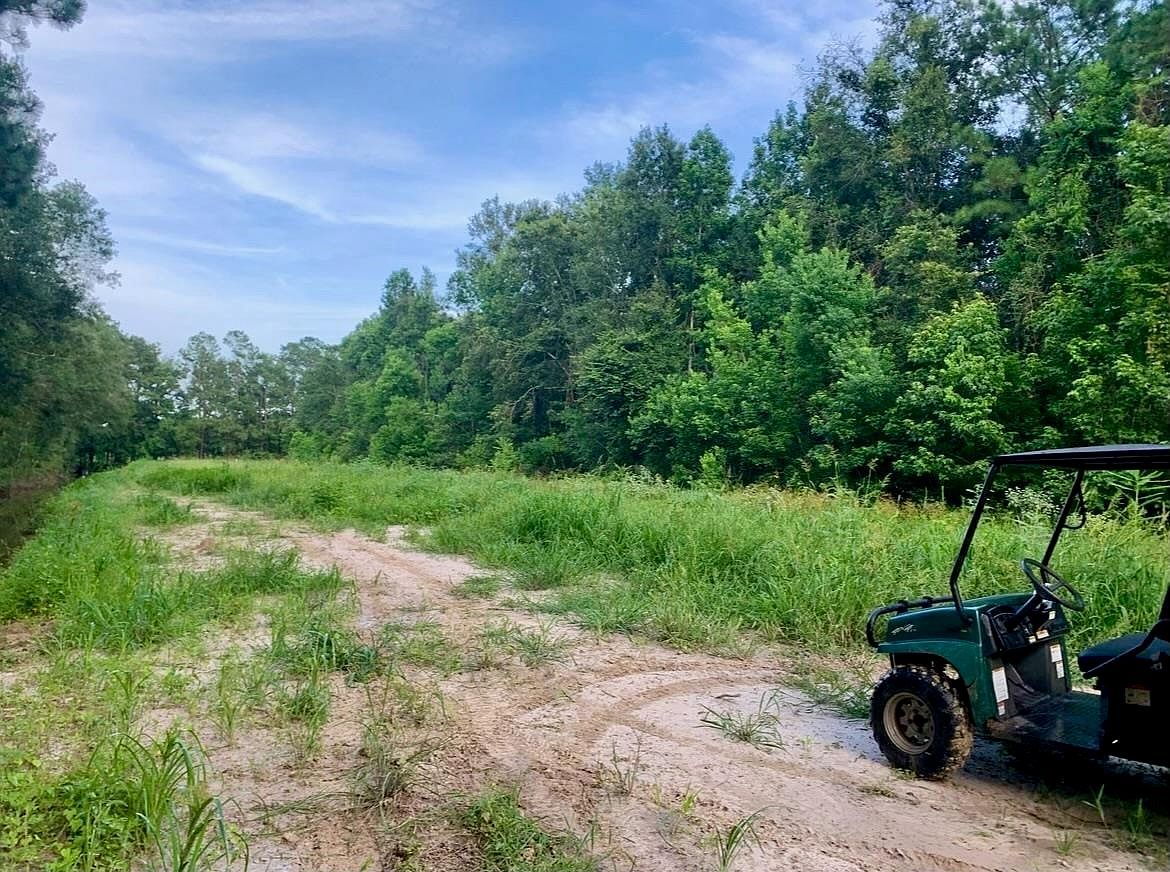 17810 Fm 1130 Orange, TX 77632 - Thumbnail 3