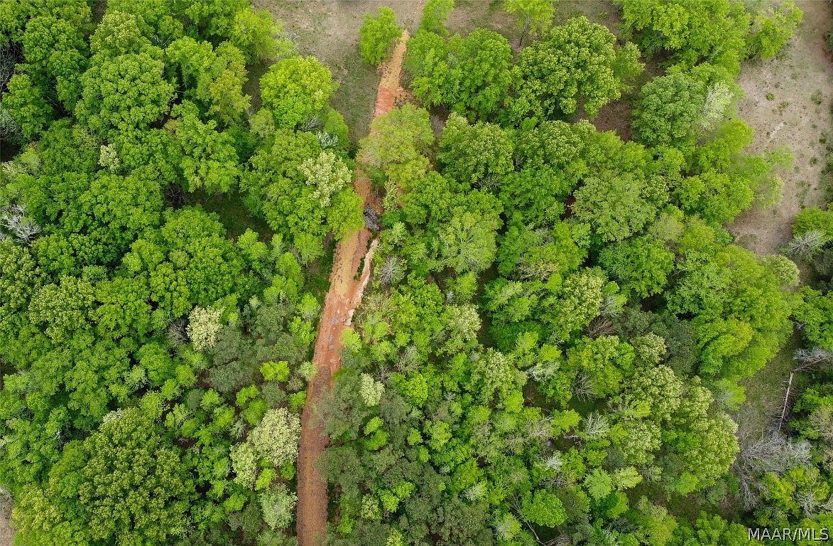0 Pugh Rd Mathews, AL 36052 - Thumbnail 3