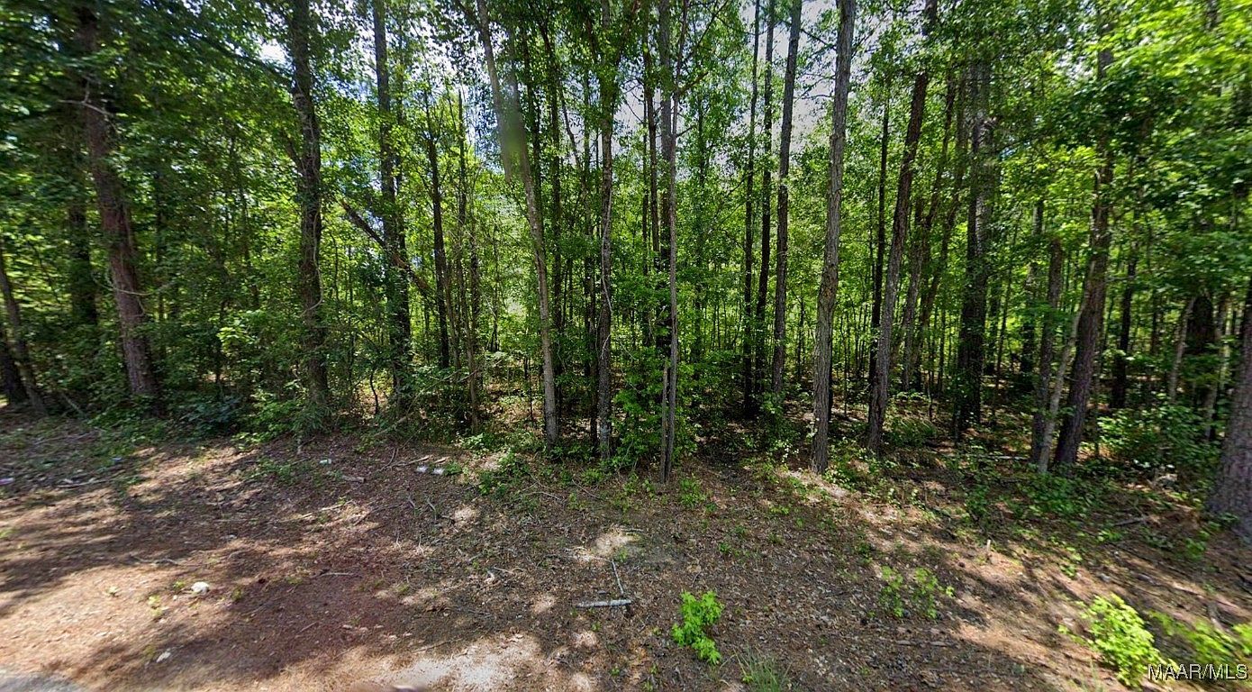 0 Lee Rd #175 Salem, AL 36874 - Thumbnail 3