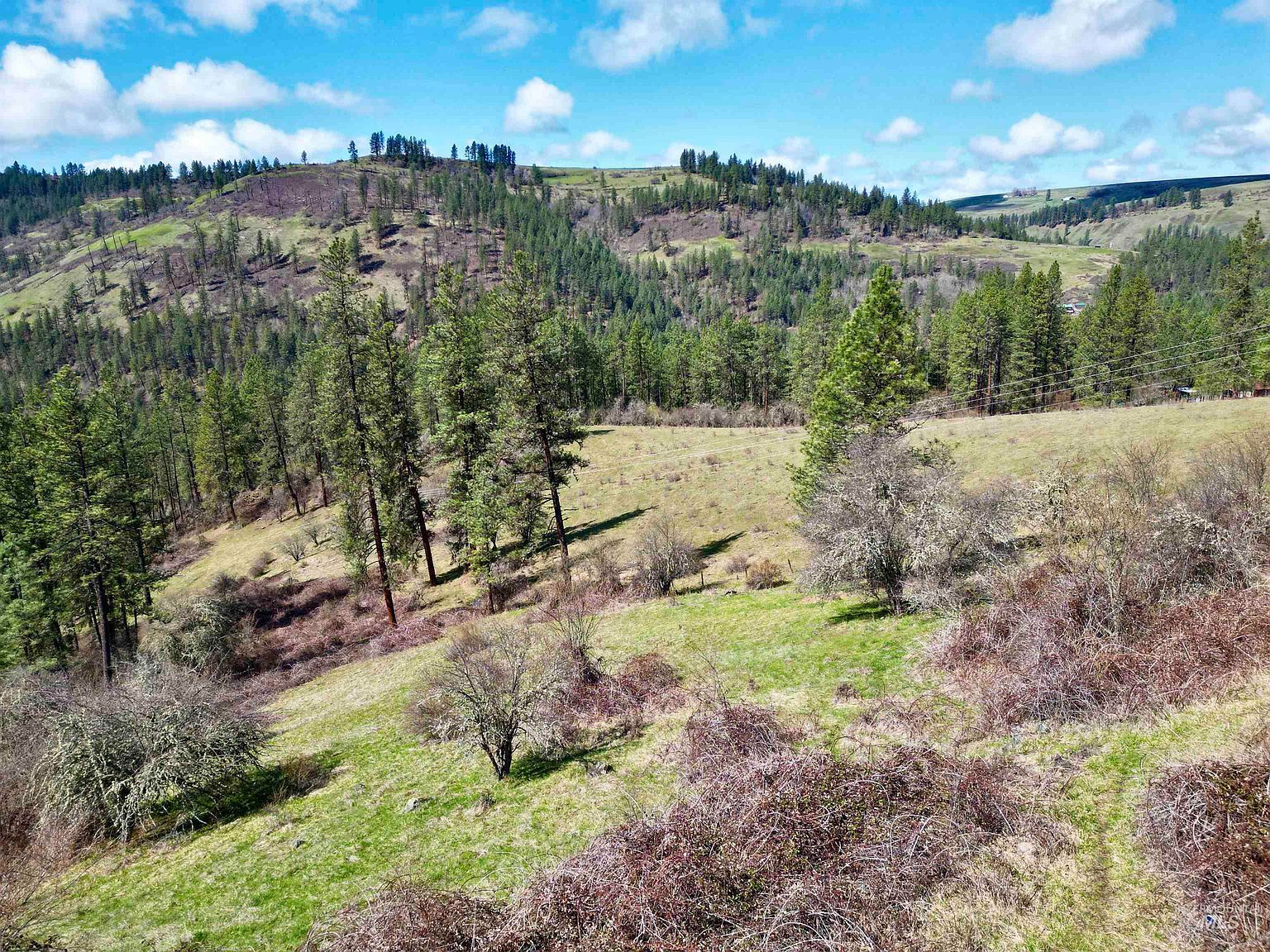 121 Ferguson Rd Stites, ID 83552 - Thumbnail 3