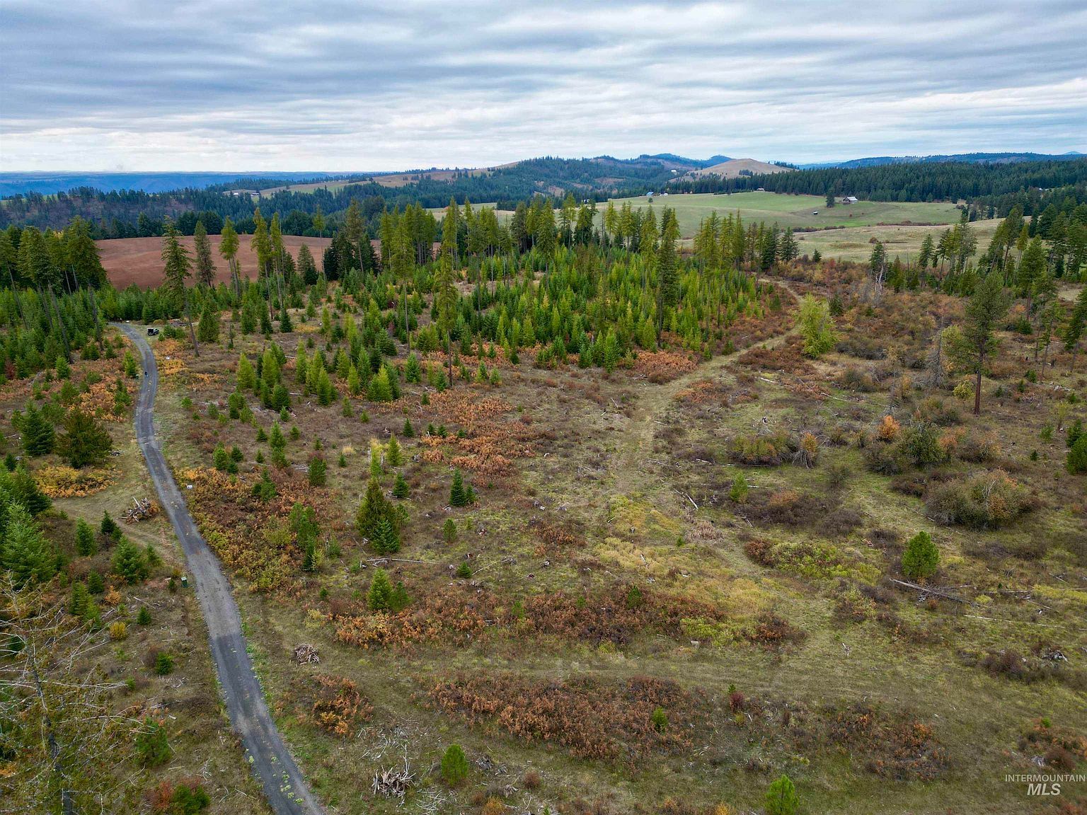 PARCEL 3 Peaceful Valley Rd Kamiah, ID 83536 - Thumbnail 3