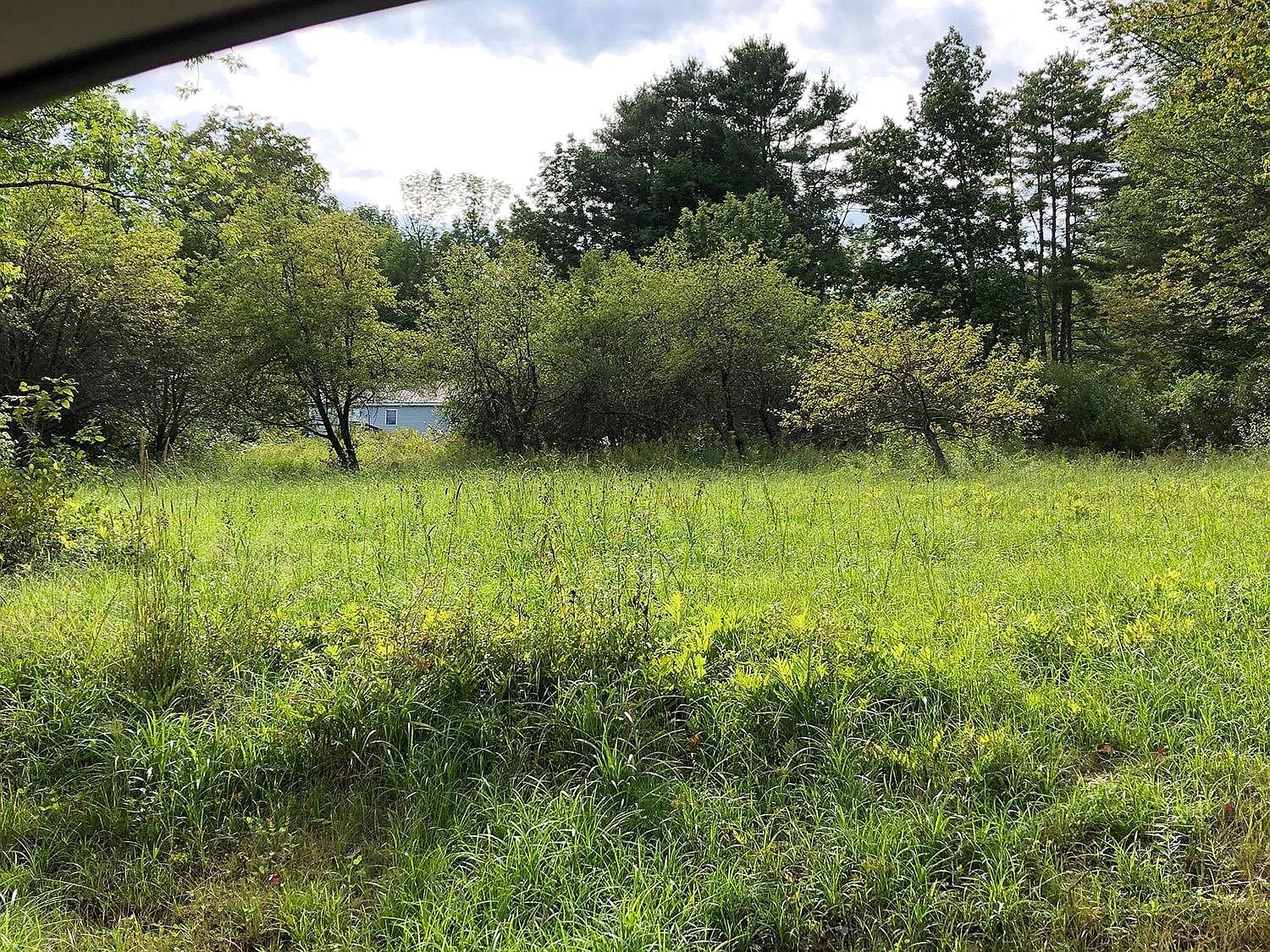 111 Gib Lockerby Rd Grafton, VT 05146 - Thumbnail 3