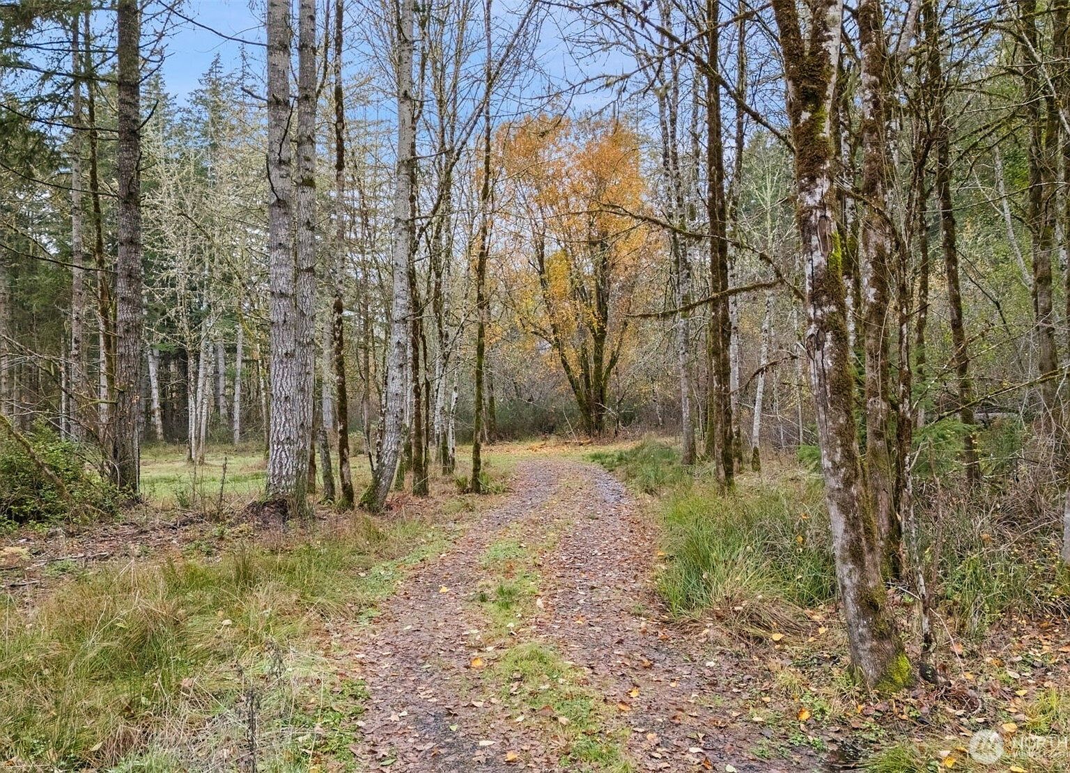 6191 E Pickering Rd Shelton, WA 98584 - Thumbnail 3