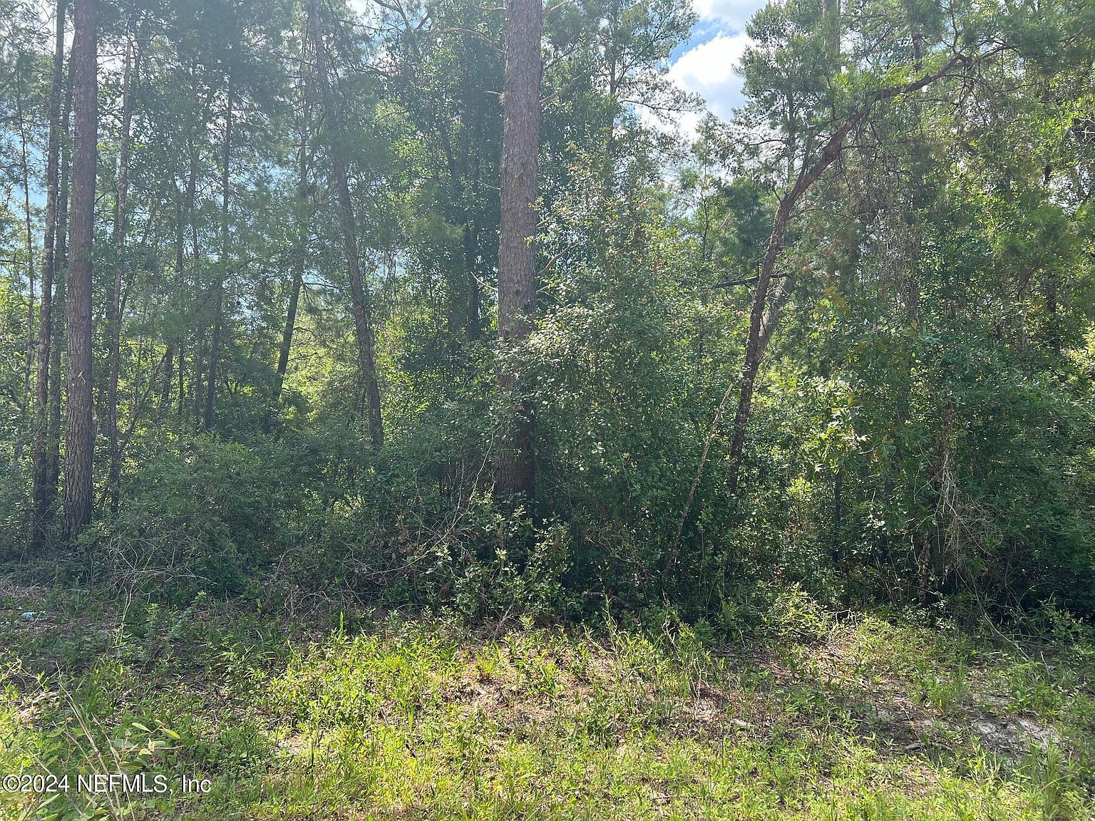 220 Oleander St Pomona Park, FL 32181 - Thumbnail 3