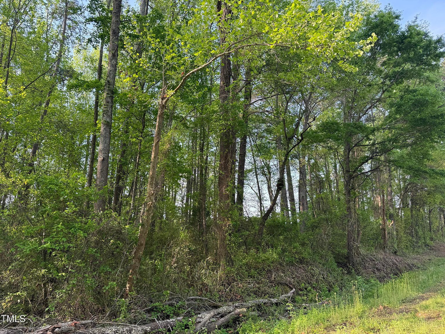 LOT 1 Mitchell Rd LOT 1 Lillington, NC 27546 - Thumbnail 3