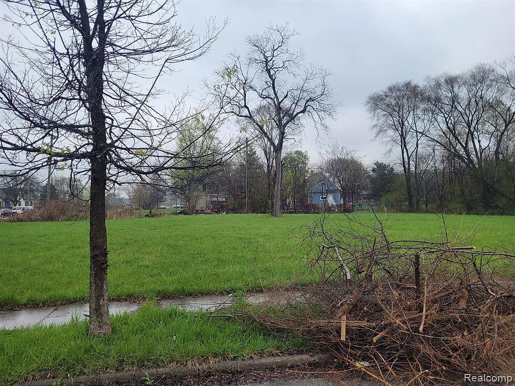 3078 24th St Detroit, MI 48216 - Thumbnail 3