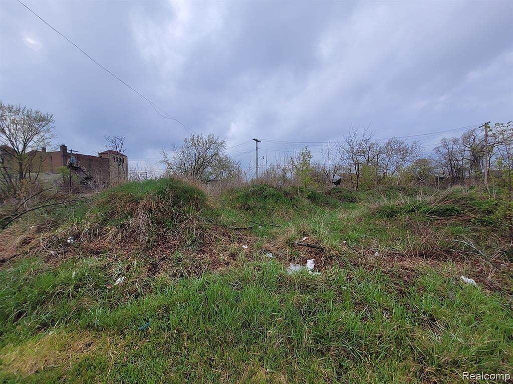 3332 Rochester St Detroit, MI 48206 - Thumbnail 3