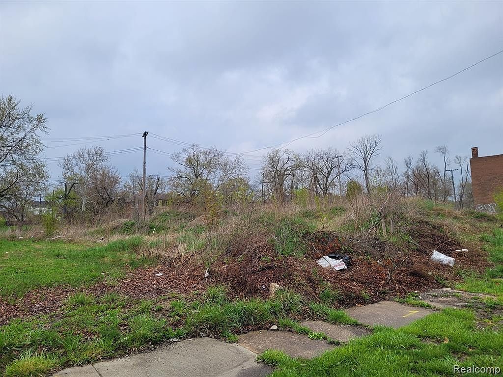 3324 Rochester St Detroit, MI 48206 - Thumbnail 3