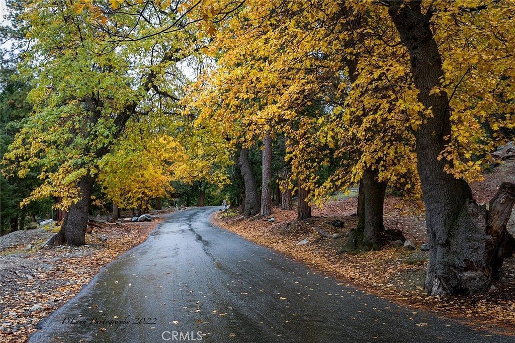 40204 Valley Of The Falls Dr Forest Falls, CA 92339 - Thumbnail 3