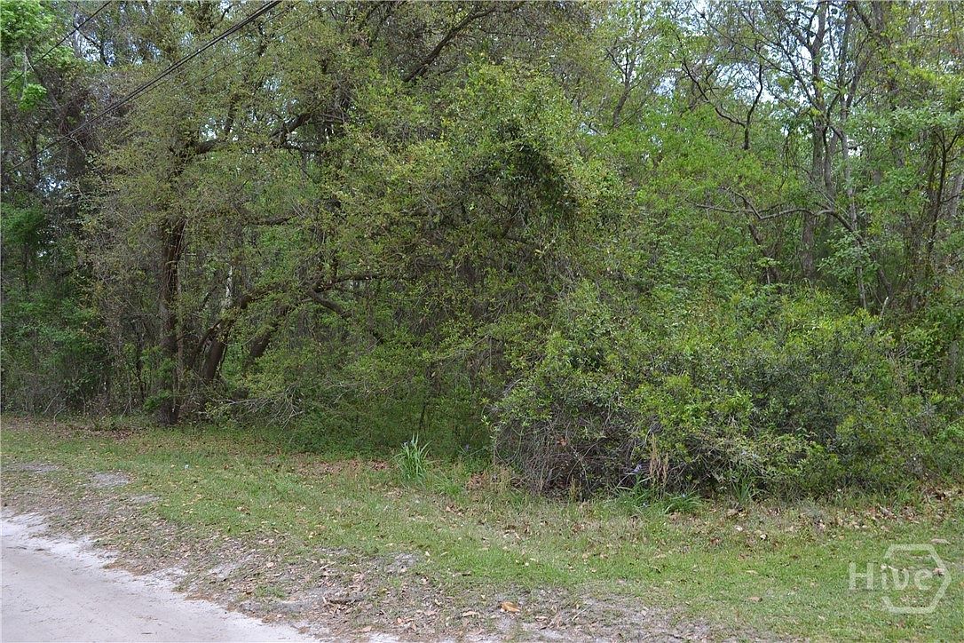 0 S Hickory St Bloomingdale, GA 31302 - Thumbnail 3