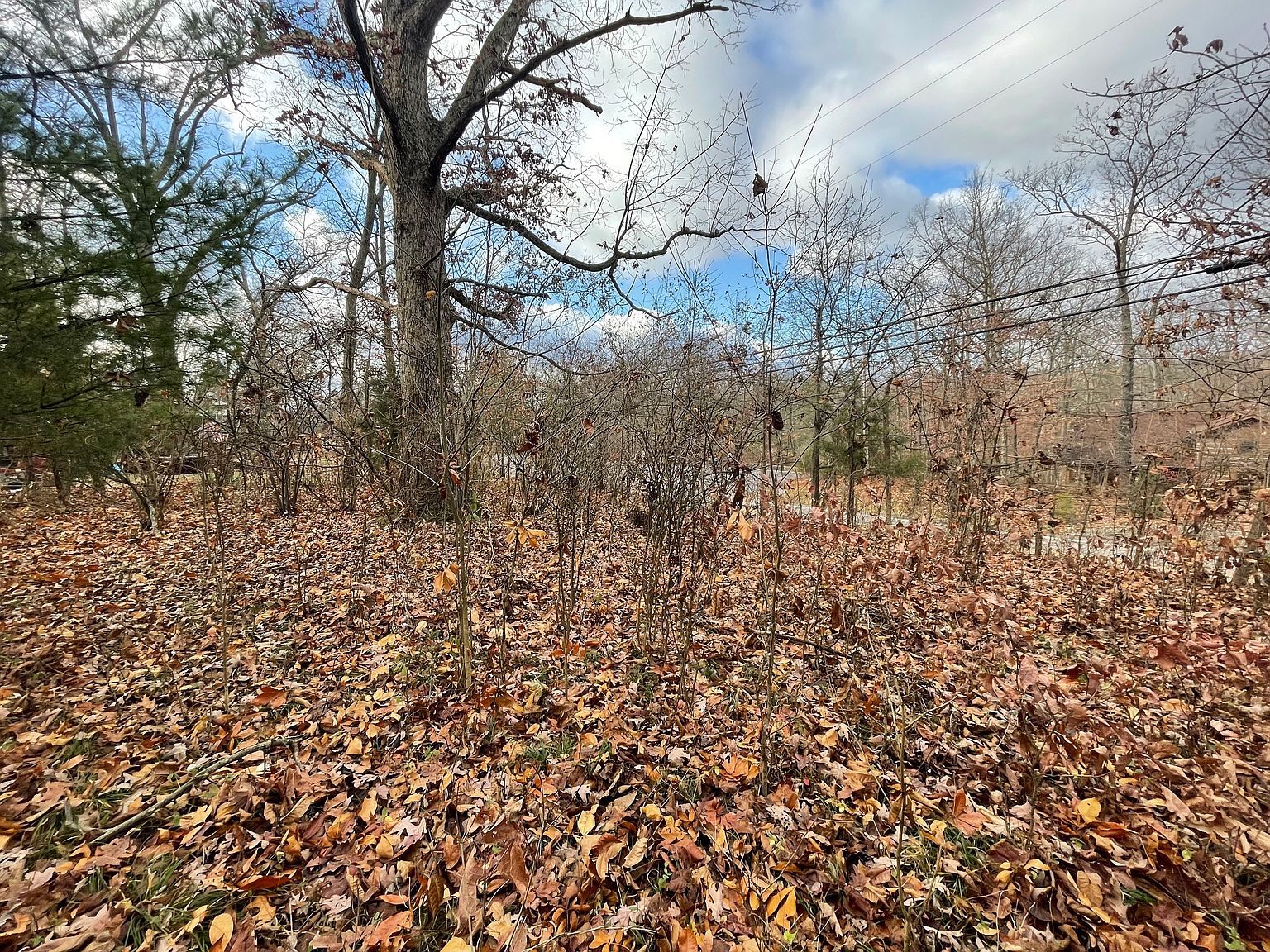 0 State Road 135 N Nashville, IN 47448 - Thumbnail 3