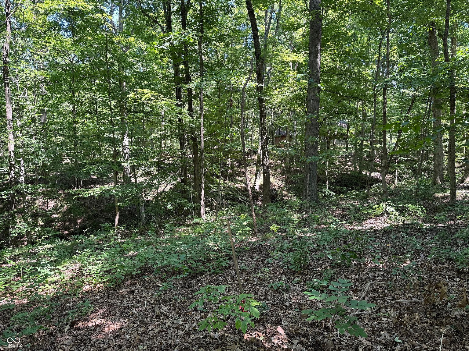 X Fox Ct Nineveh, IN 46164 - Thumbnail 3