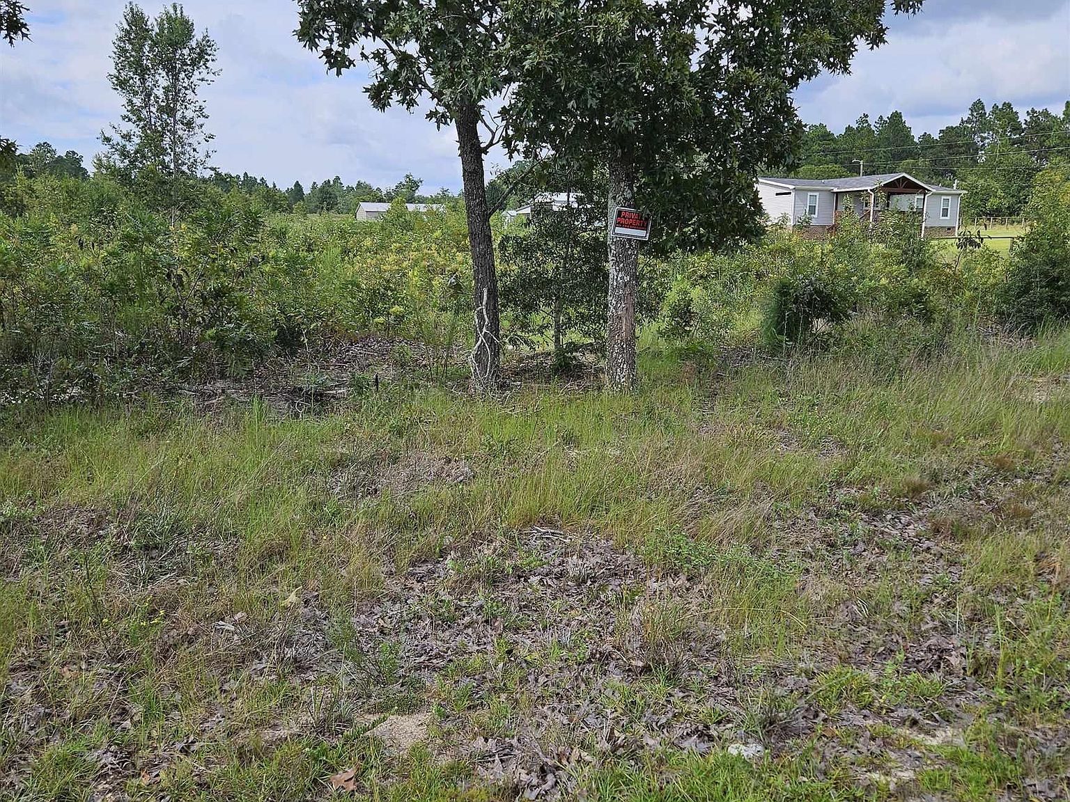 736 Bush Berry Rd Pelion, SC 29123 - Thumbnail 3