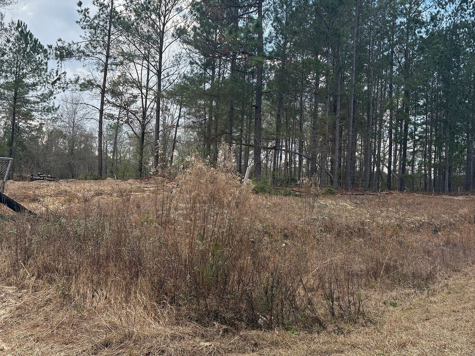 0 State Highway 338 Cadwell, GA 31009 - Thumbnail 3