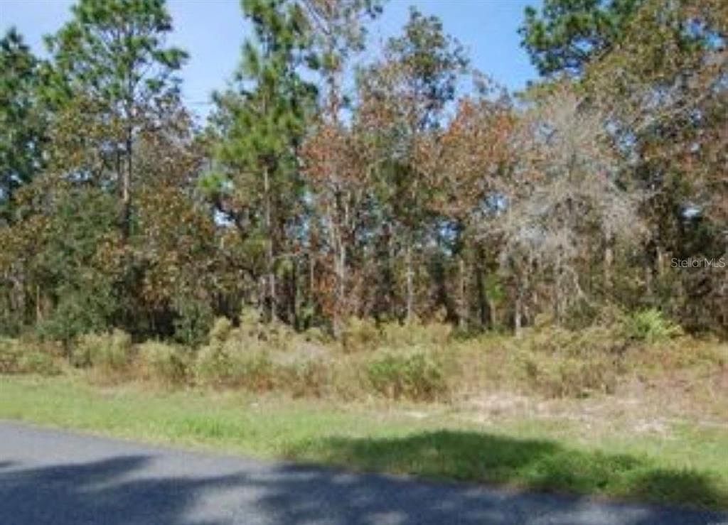 2084 W Riley Dr Citrus Springs, FL 34434 - Thumbnail 3