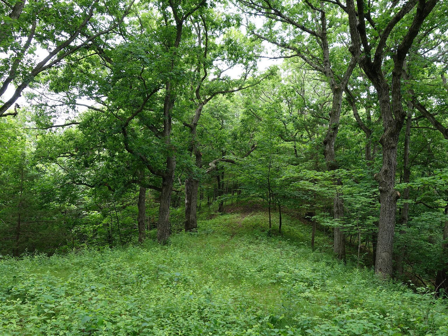 PARCEL W Centennial Dr #Q Huxley, IA 50124 - Thumbnail 3