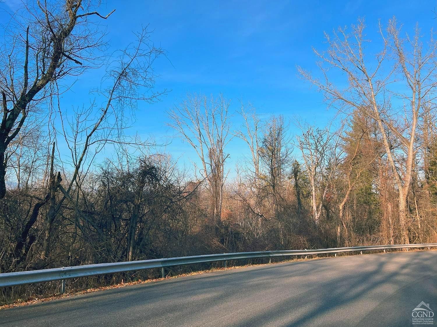 160 Tommy Trl Coxsackie, NY 12051 - Thumbnail 3