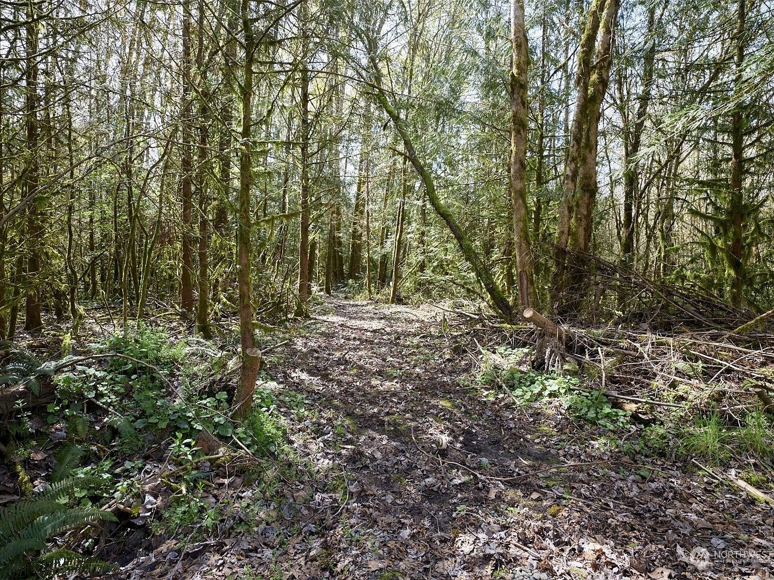 9701 NE 299th St Battle Ground, WA 98604 - Thumbnail 3