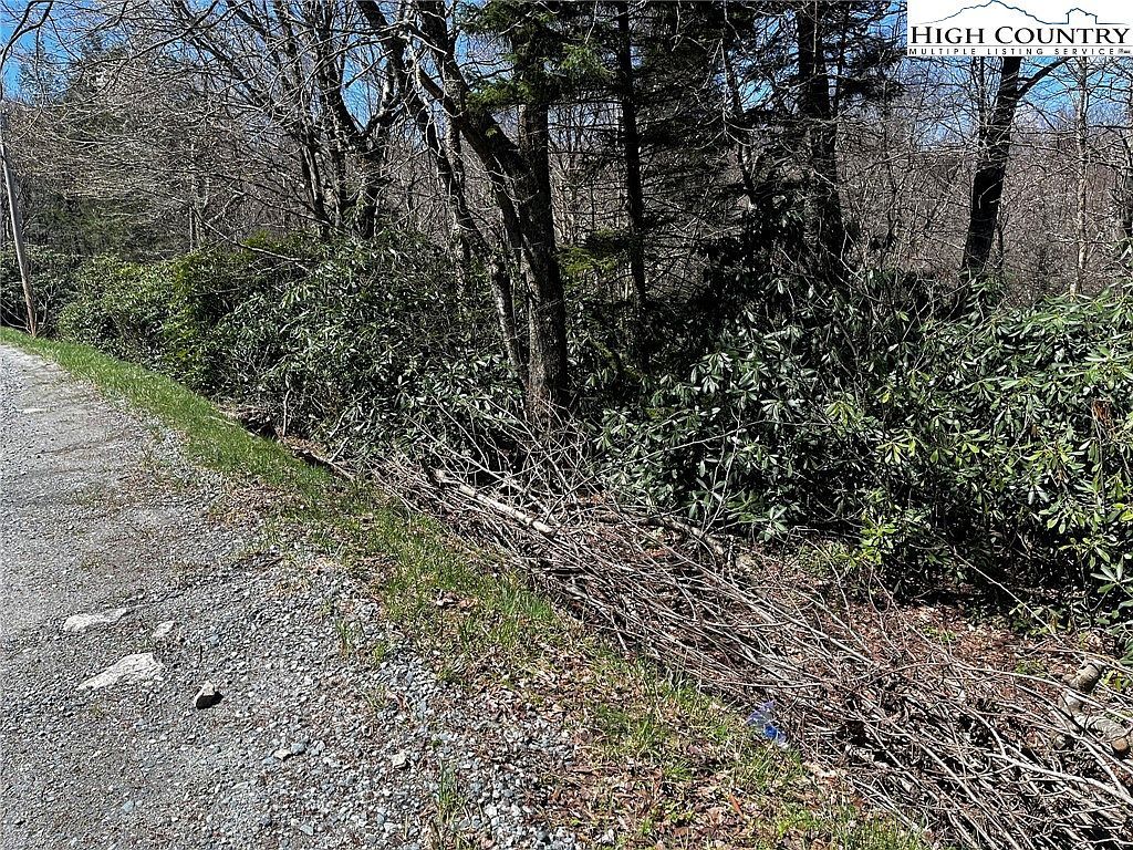 117 Wild Daisy Ln Banner Elk, NC 28604 - Thumbnail 3