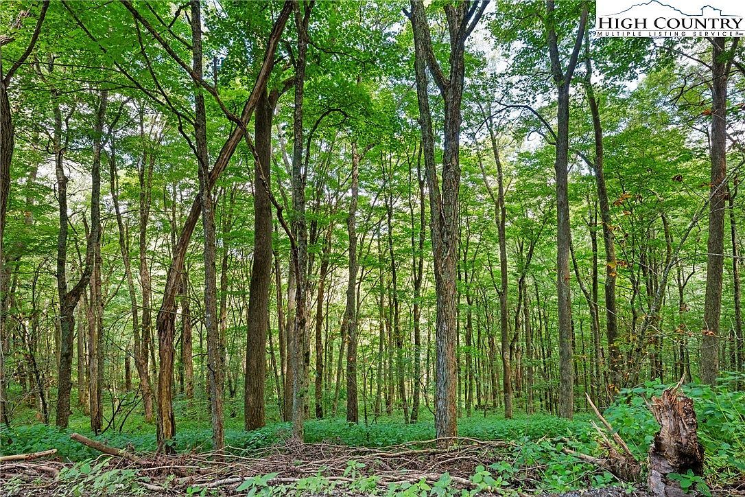 7095 Junaluska Rd Boone, NC 28607 - Thumbnail 3