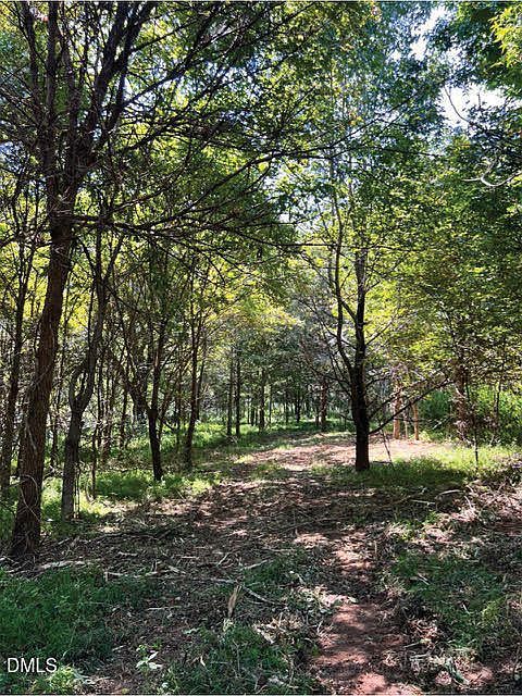 2338 Bowers Store Rd Lot 2 Siler City, NC 27344 - Thumbnail 3