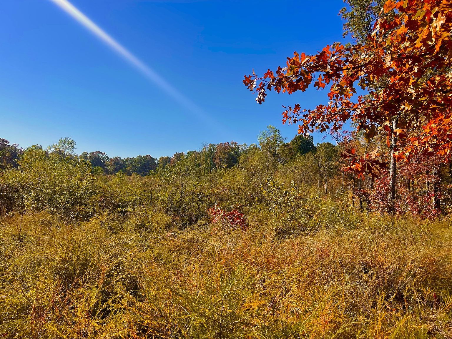 0 Ruble Dr Clifton, TN 38425 - Thumbnail 3