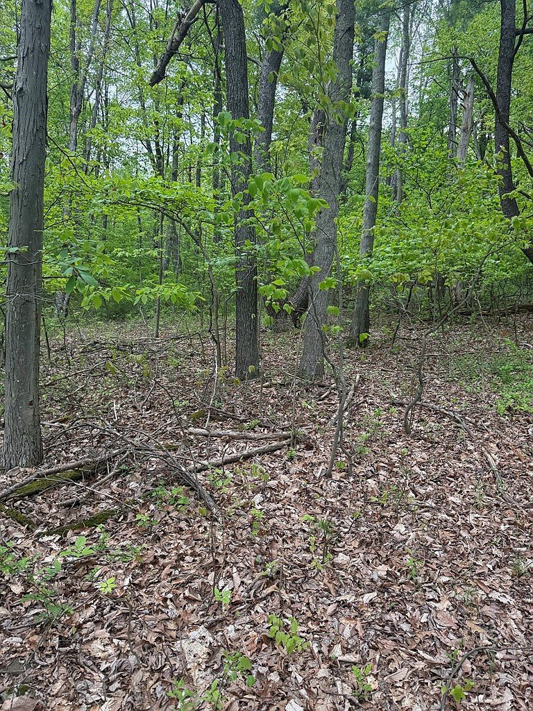 0 Orange Hill Rd Athens, PA 18810 - Thumbnail 3