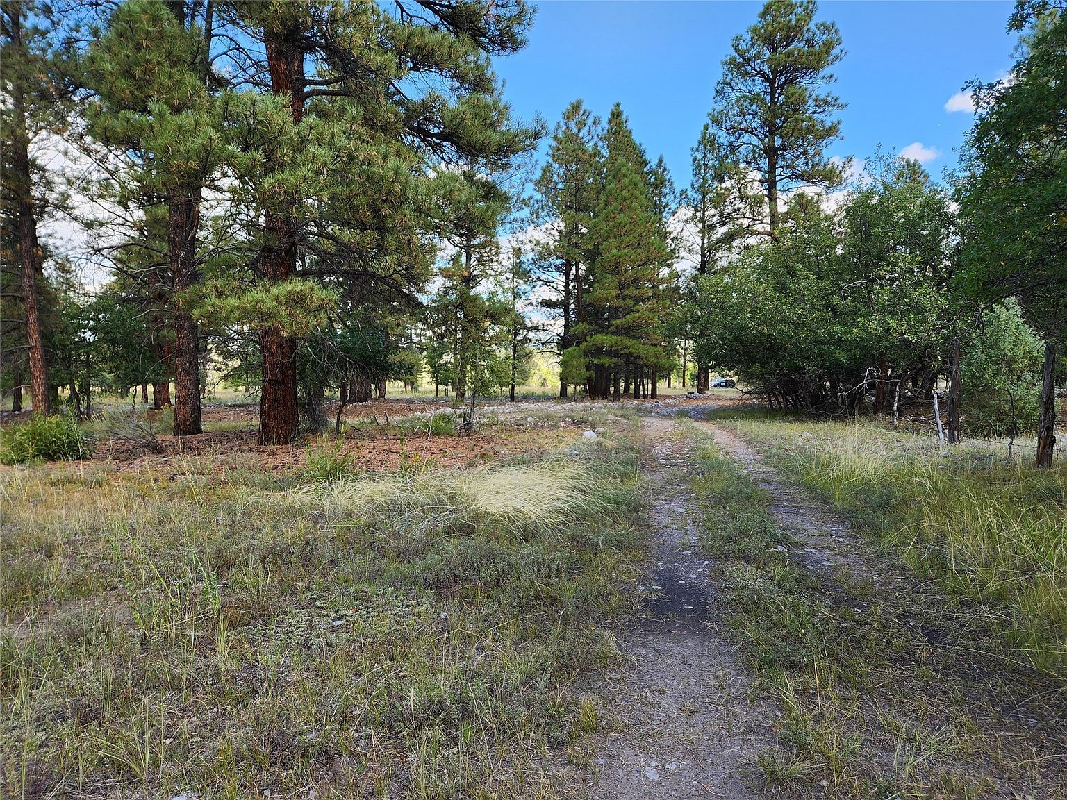 State Road 512 Chama, NM 87520 - Thumbnail 3