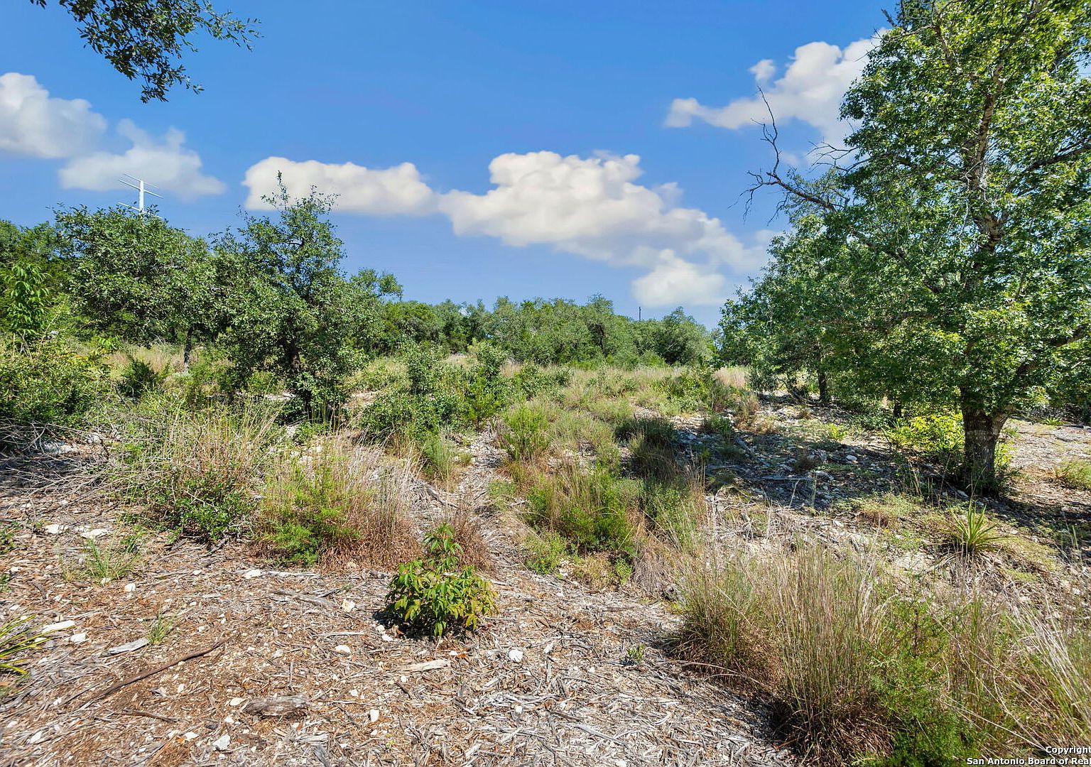 840 Earle Oak Ave #8 Bulverde, TX 78163 - Thumbnail 3