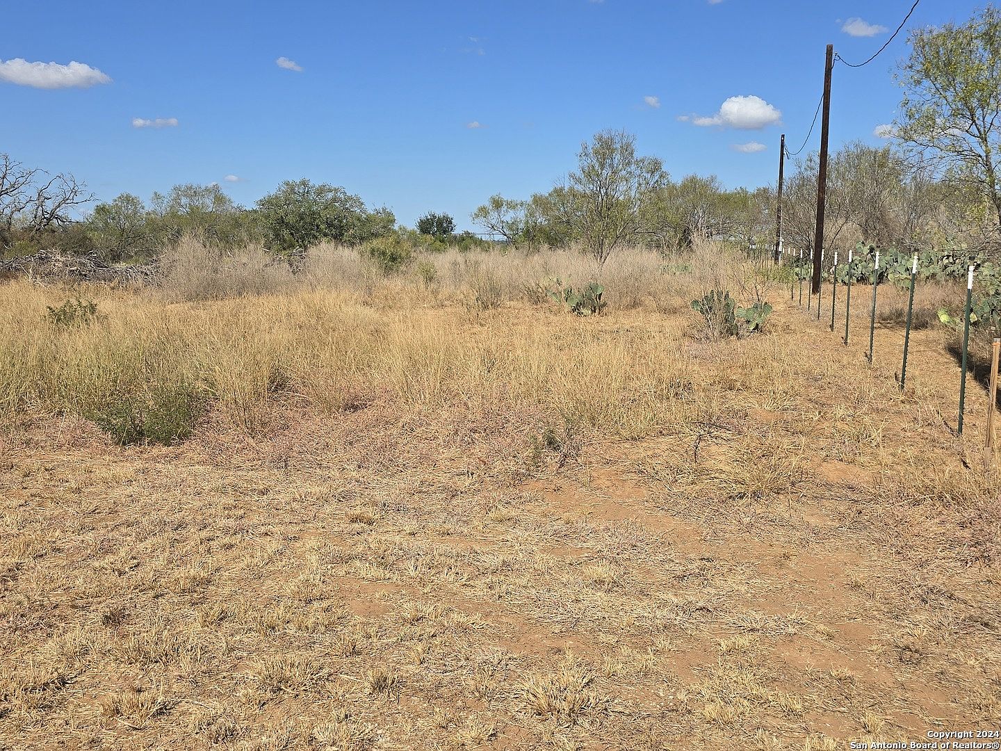 114 County Road 2668 #262 Moore, TX 78057 - Thumbnail 3